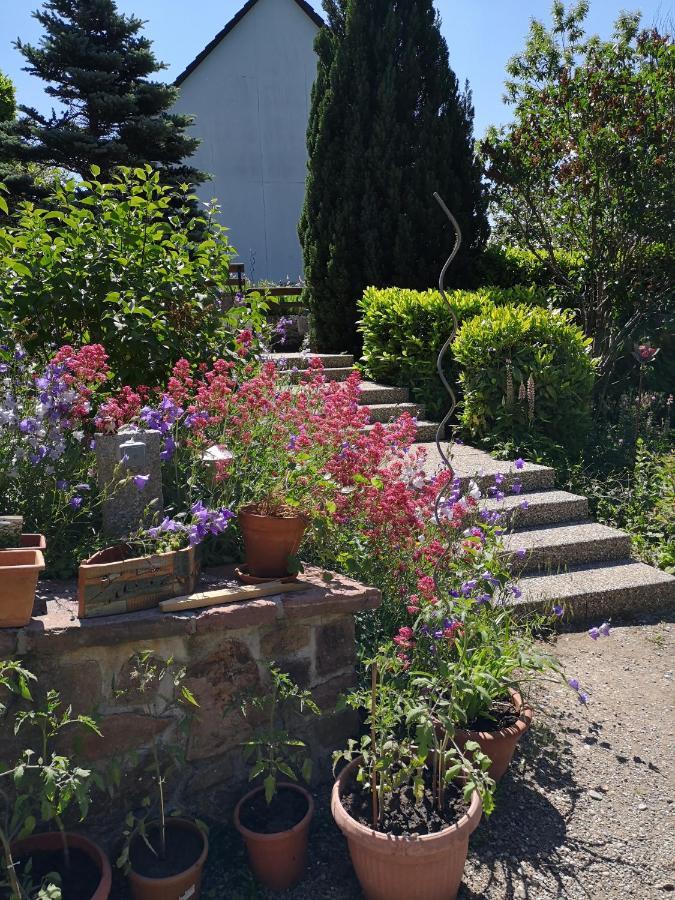 Chene Rouge Villa Lapoutroie Eksteriør bilde