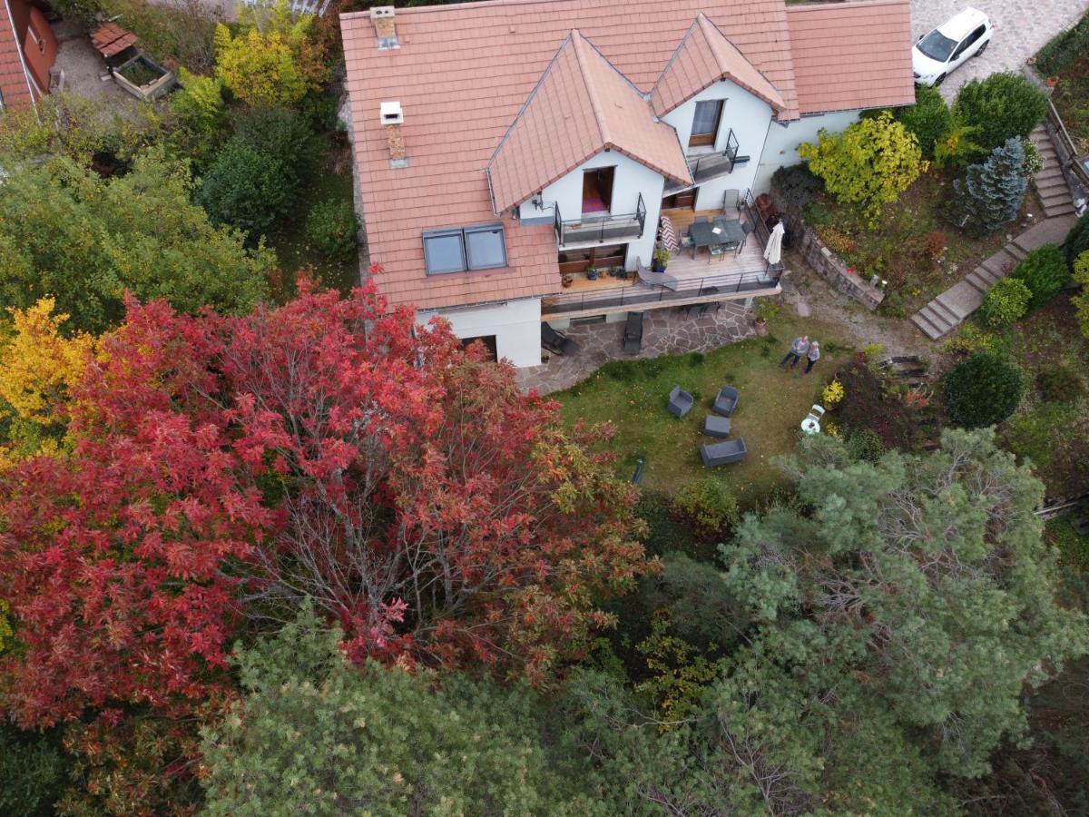 Chene Rouge Villa Lapoutroie Eksteriør bilde